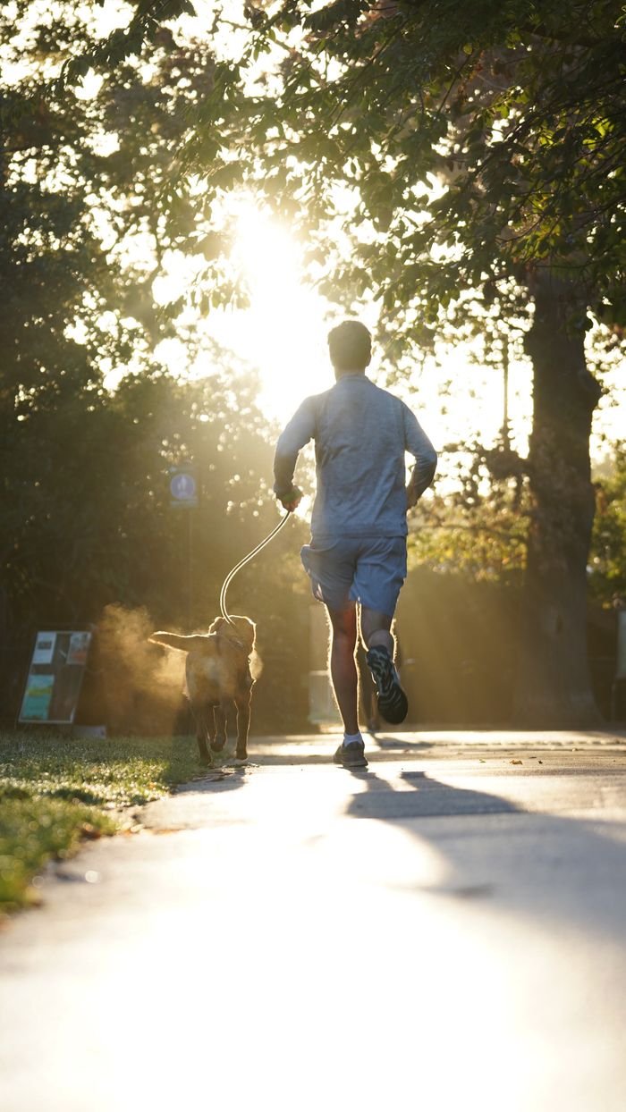 Back view of a man jogging with his dog on a sunny morning in an English park.